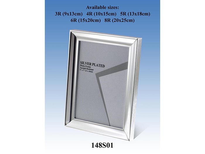 silver-frame-15-24cm-x-20-32cm-930
