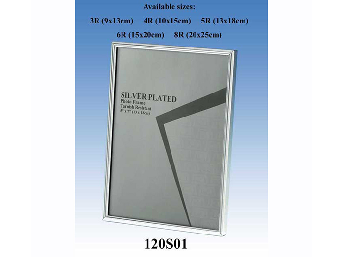 silver-frame-8-x-10-inches-264