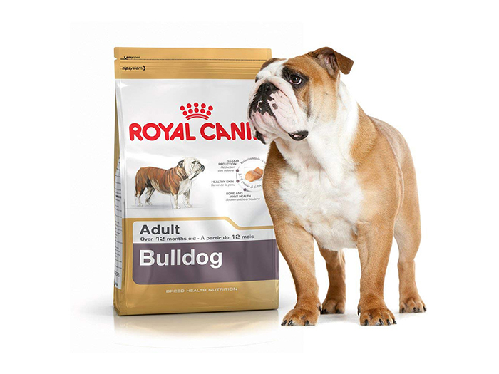 royal-canin-bulldog-breed-dry-dog-food-3kg