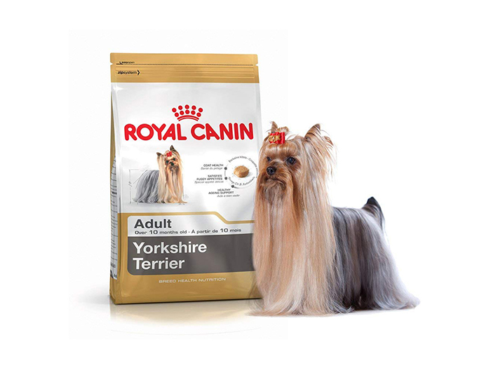 royal-canin-yorkshire-terrier-breed-dry-dog-food-3kg