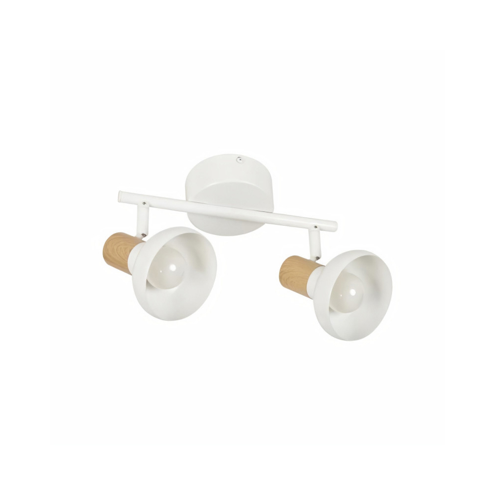 corep-alvar-2-spots-ceiling-light-white-e14