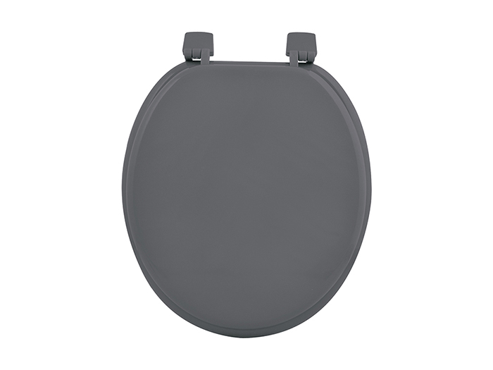 toilet-seat-with-plastic-hinge-37-x-47-cm-charcoal