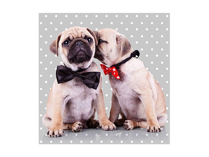 3-ply-paper-napkins-33-x-33cm-pugs-design-pack-of-20-pieces