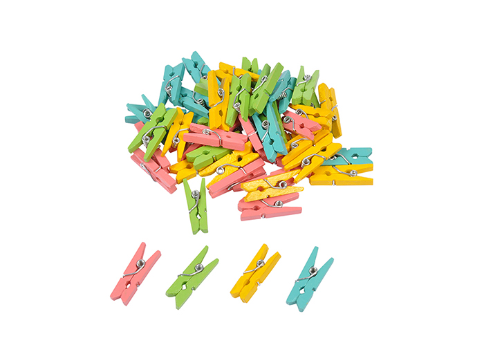 wooden-mini-clothes-pegs-pack-of-40-pieces-multicolour