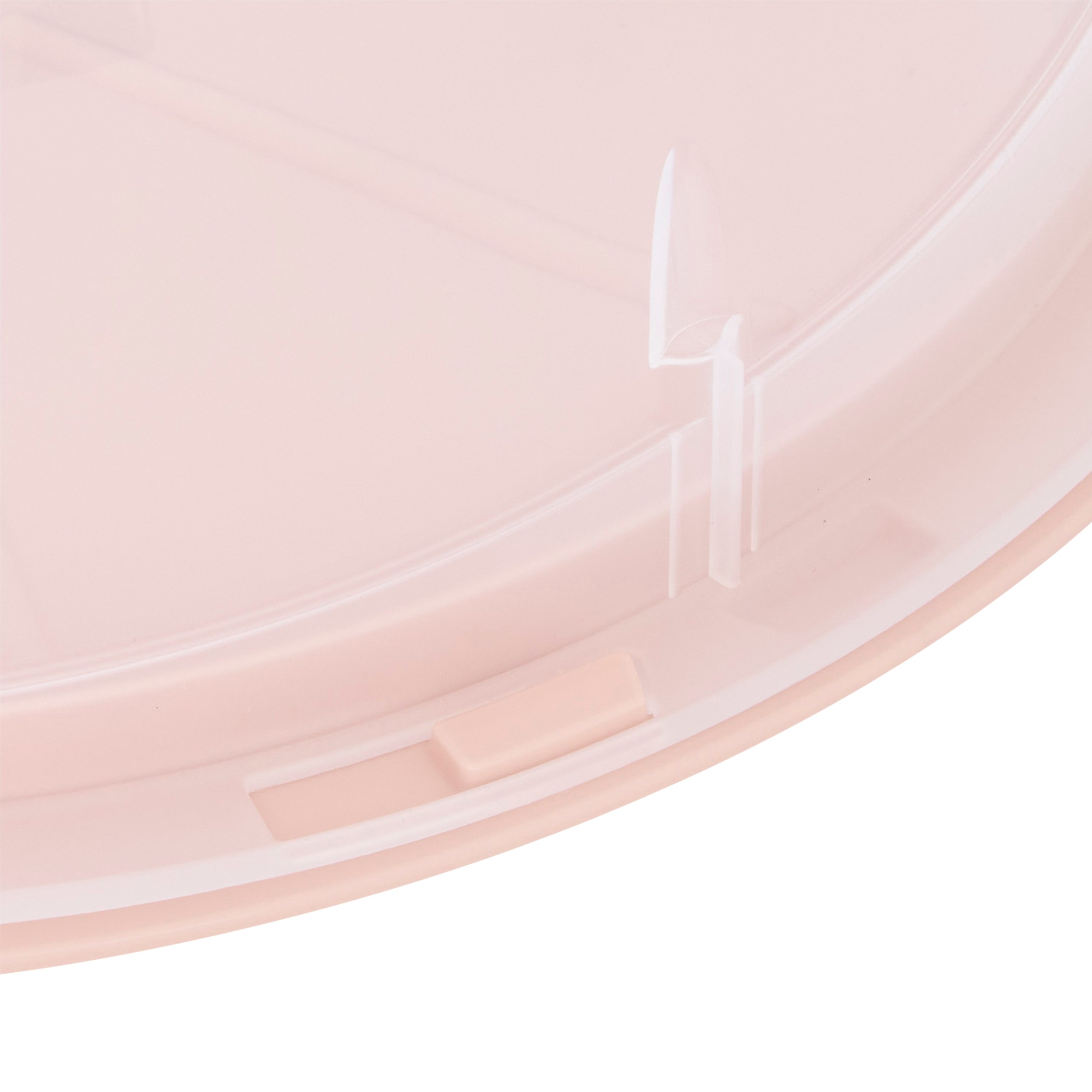 5five-round-cake-storage-box-with-lid-36-x-14cm-assorted-colours