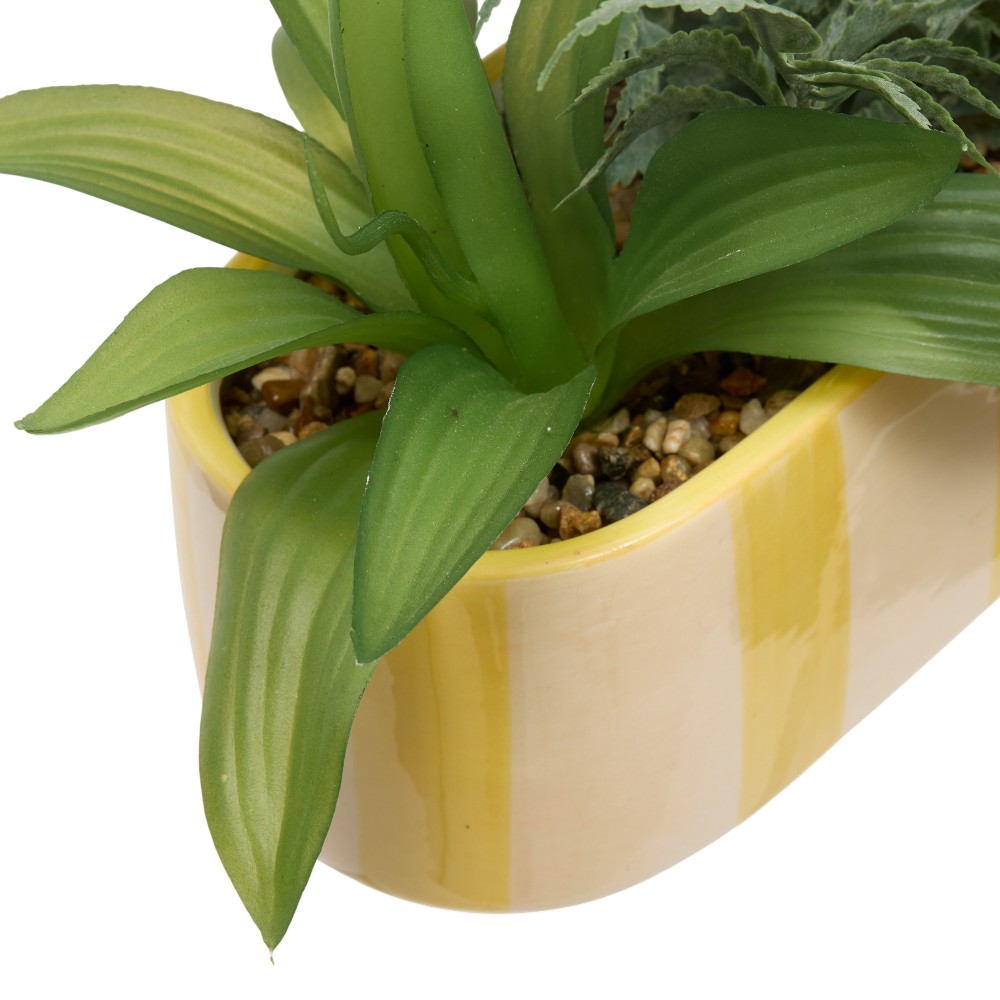 atmosphera-artificial-plants-pool-plant-h-24-cm-2-assorted-designs