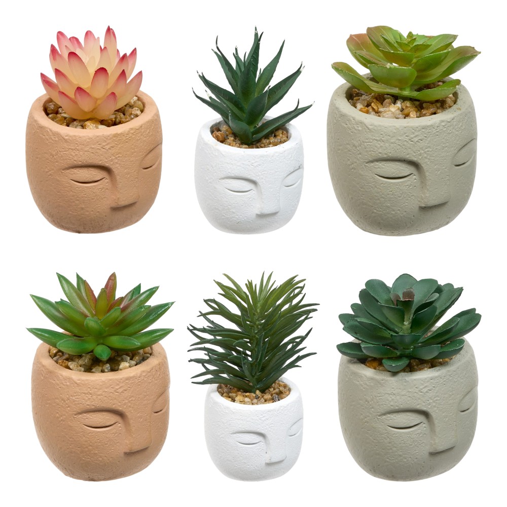 atmosphera-artificial-plants-face-pot-teri-h-13-cm-6-assorted-designs