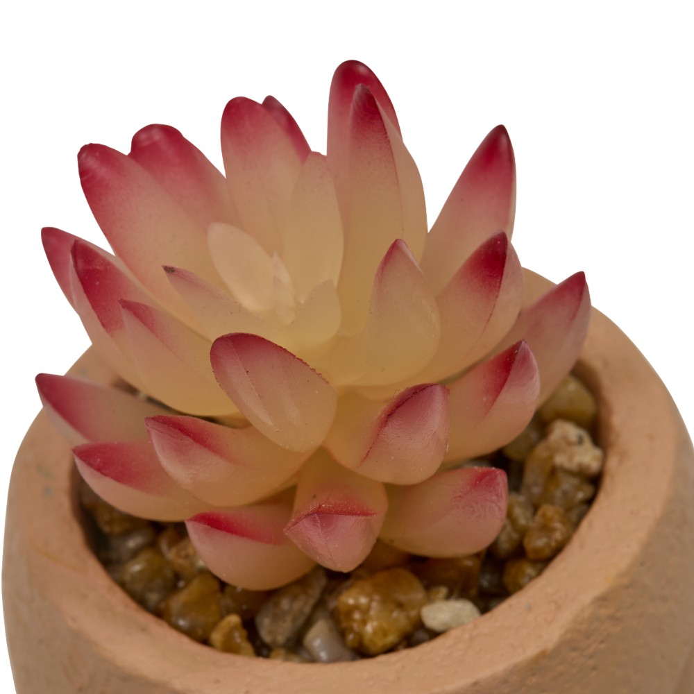 atmosphera-artificial-plants-face-pot-teri-h-13-cm-6-assorted-designs