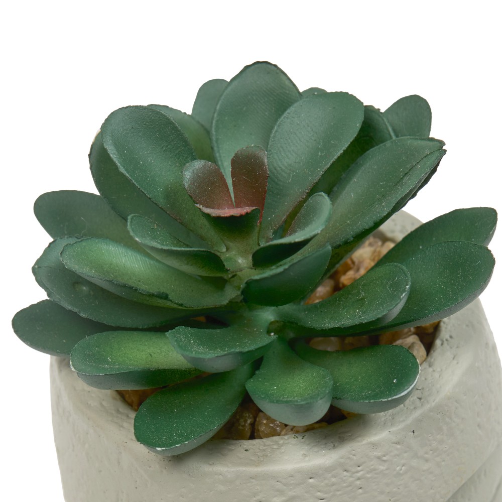 atmosphera-artificial-plants-face-pot-teri-h-13-cm-6-assorted-designs