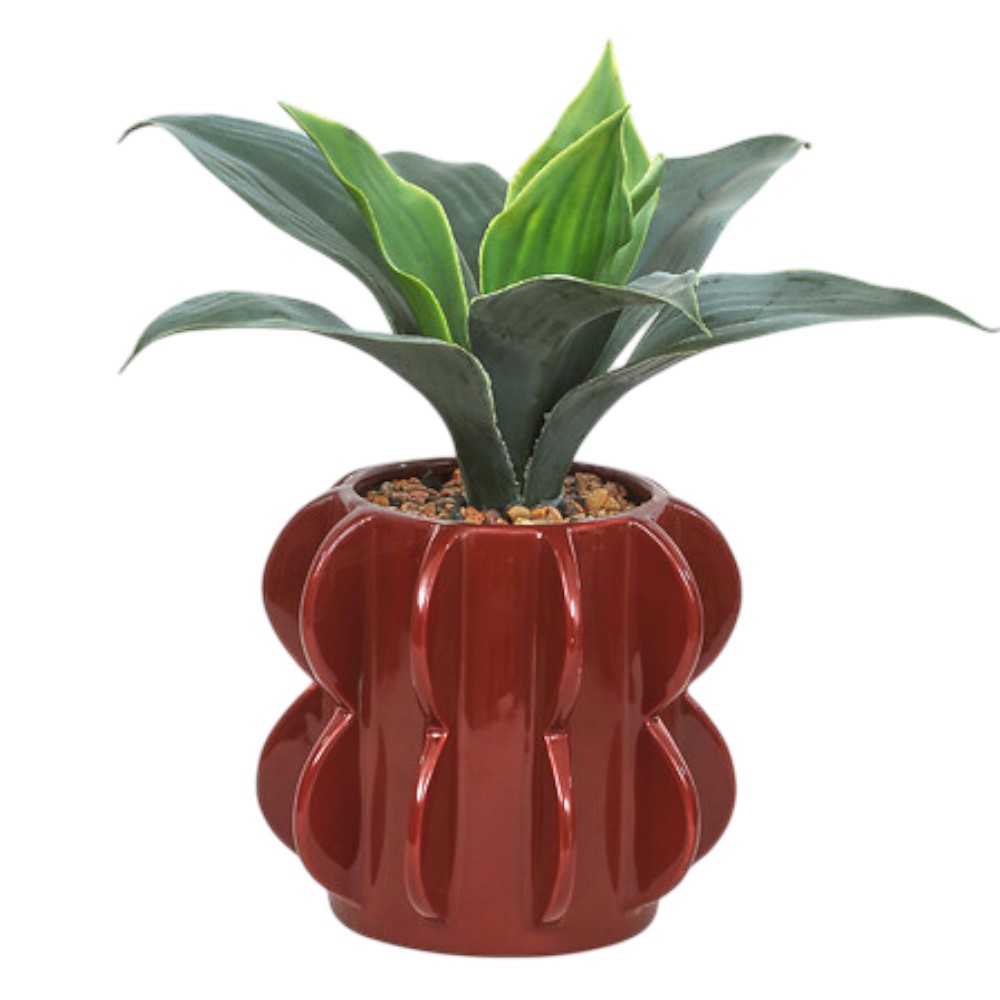 atelier-homy-artificial-agave-with-ceramic-pot-27cm-assorted