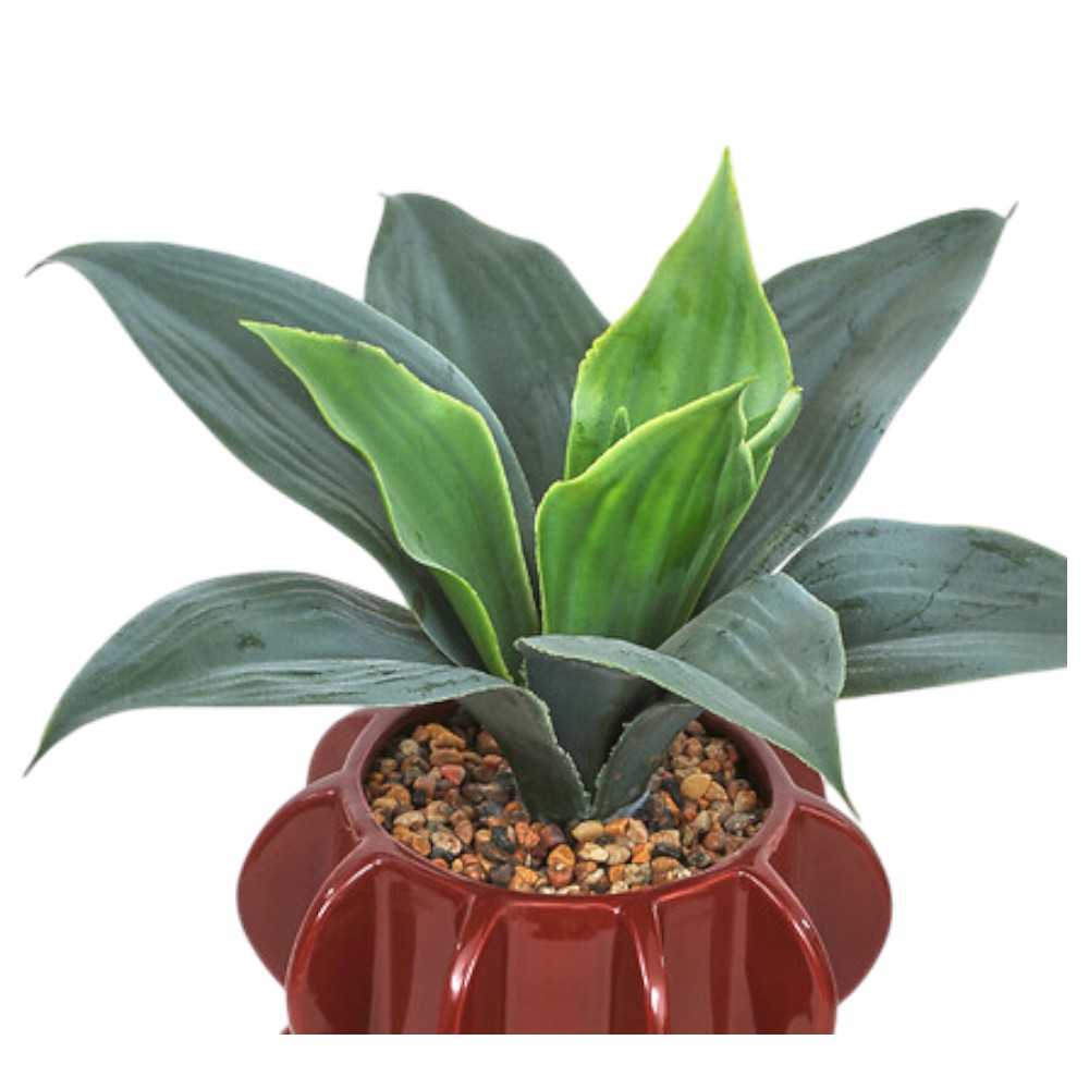 atelier-homy-artificial-agave-with-ceramic-pot-27cm-assorted