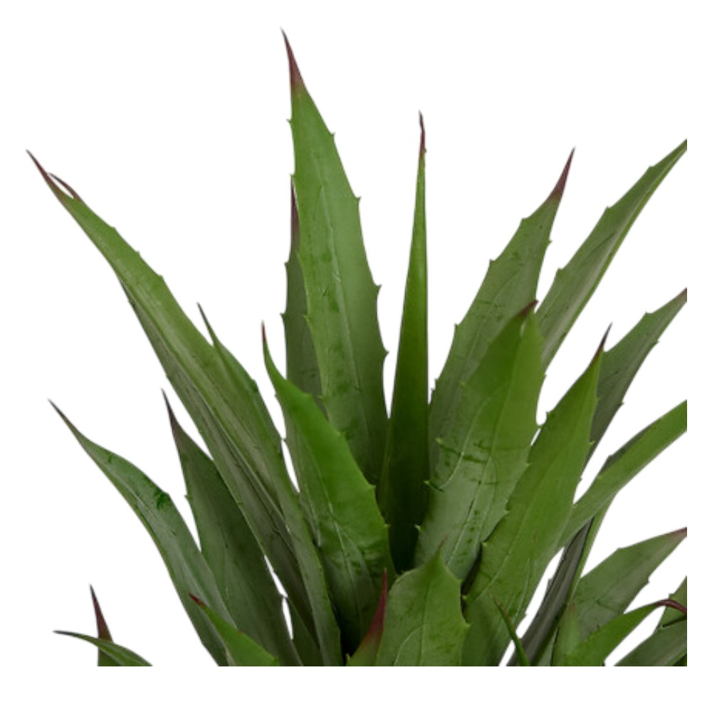 atmosphera-oda-artificial-agave-plant-with-woven-pot-61-cm