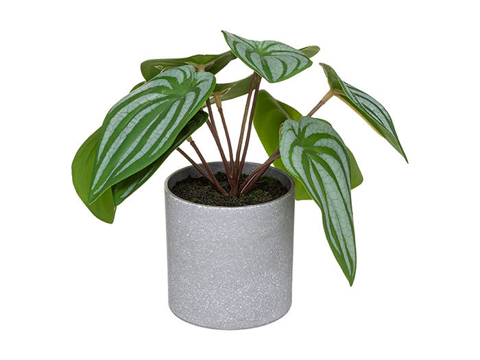 atmosphera-artificial-plant-in-melamine-pot-18-cm-2-assorted-types