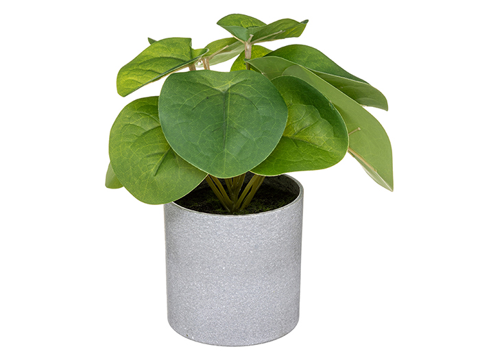 atmosphera-artificial-plant-in-melamine-pot-18-cm-2-assorted-types