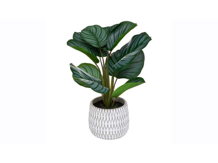 atmosphera-artificial-maranta-plant-in-cement-pot-45-cm