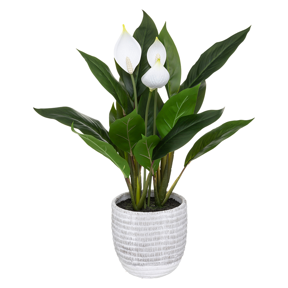 atmosphera-artificial-arum-plant-in-cement-pot-white-30cm-x-54cm