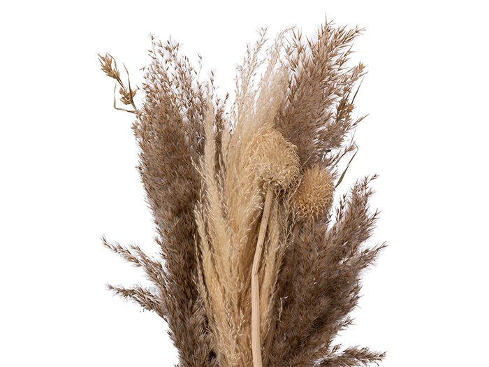 atmosphera-dried-natural-pampa-grass-bouquet-multicolour-58cm