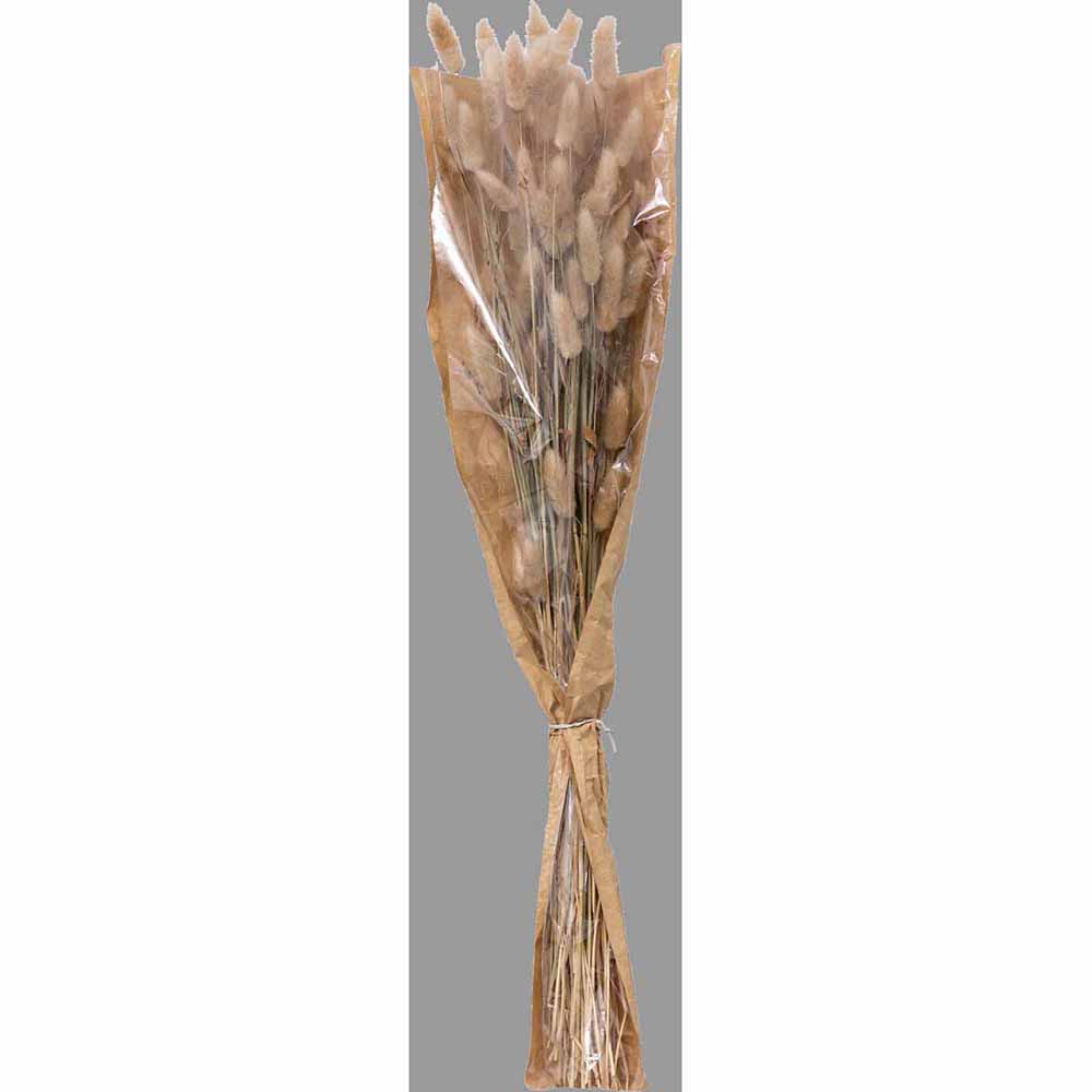 atmosphera-dried-bunny-tails-bouquet-ivory-58cm