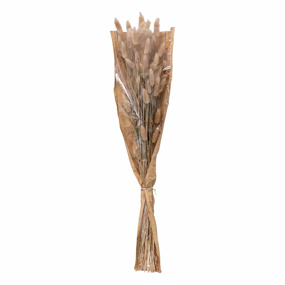 atmosphera-dried-bunny-tails-bouquet-ivory-58cm