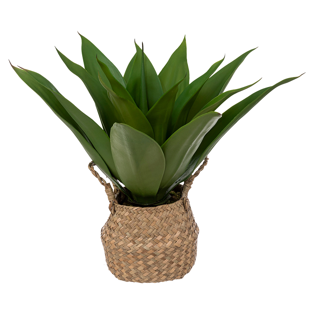 atmosphera-artificial-agave-plant-in-natural-pot-48cm