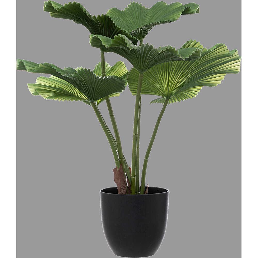 atmosphera-artificial-licuala-plant-65cm