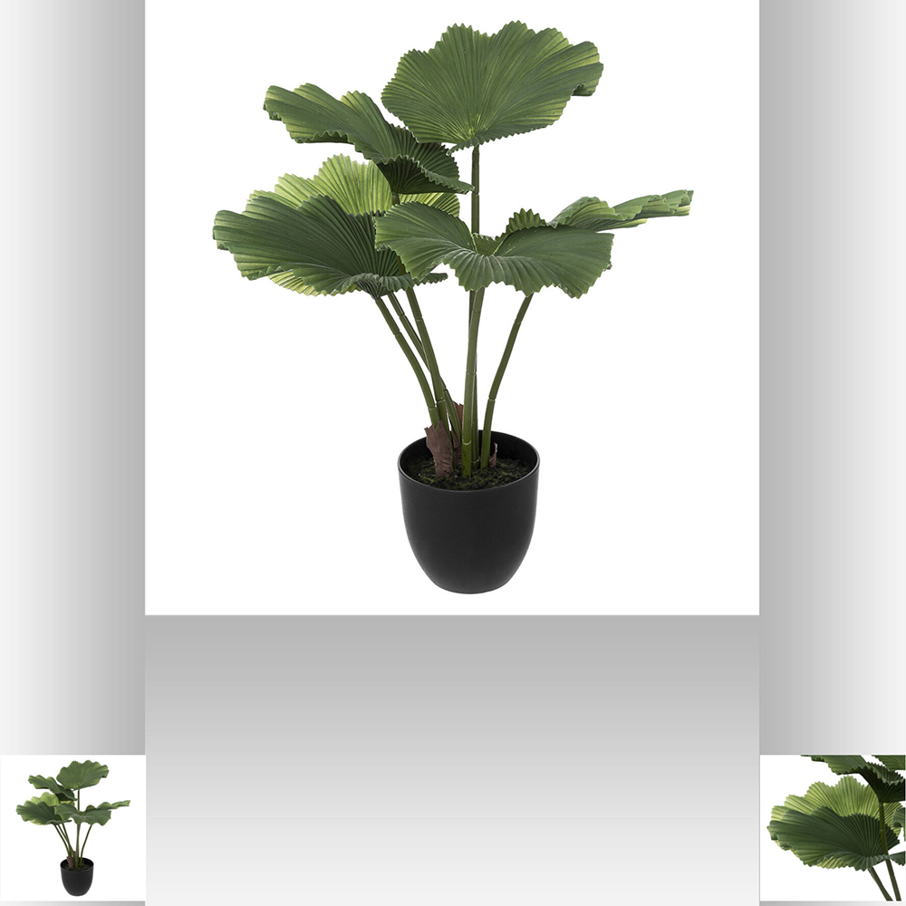 atmosphera-artificial-licuala-plant-65cm
