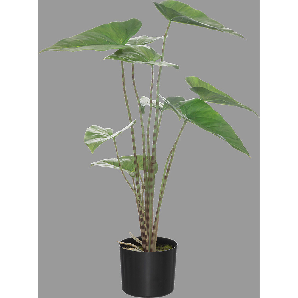 atmosphera-alocasia-zebrina-artificial-plant-in-plastic-pot-75cm