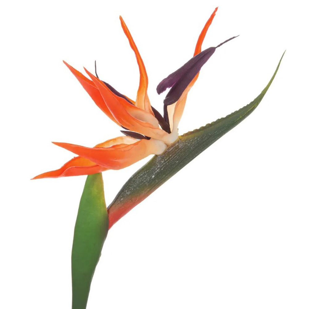 atmosphera-artificial-bird-of-paradise-flower-stem-83cm