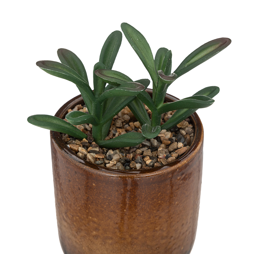 atmosphera-artificial-plant-in-ceramic-pot-16cm