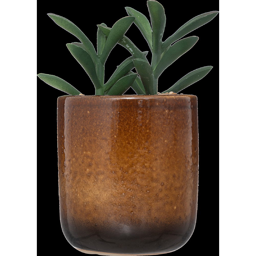atmosphera-artificial-plant-in-ceramic-pot-16cm