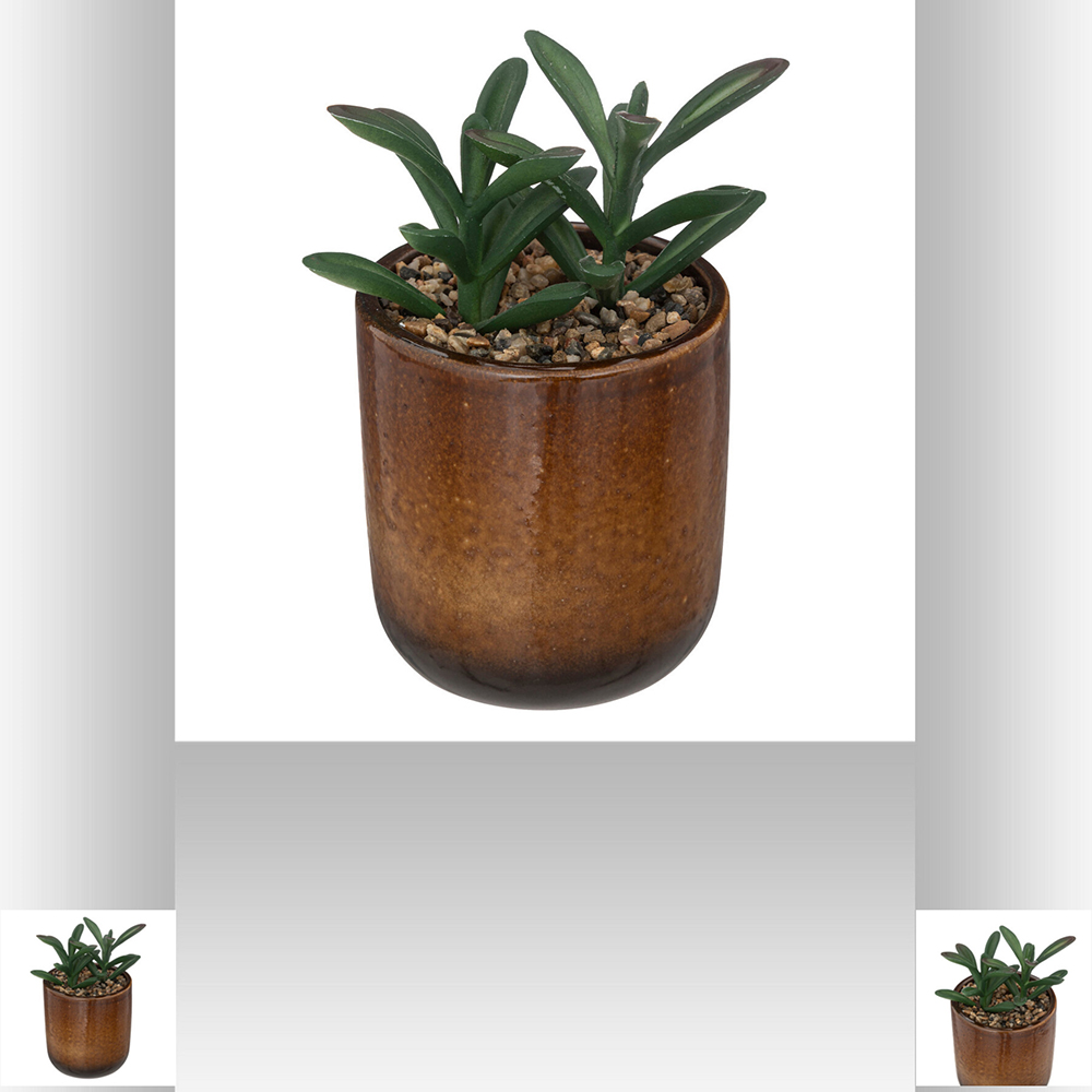 atmosphera-artificial-plant-in-ceramic-pot-16cm