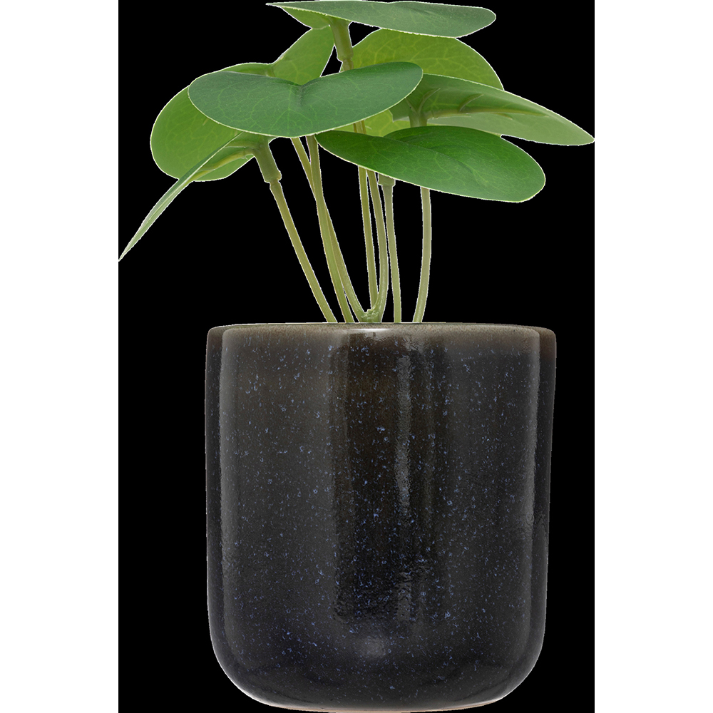 atmosphera-artificial-plant-in-ceramic-pot-black-16cm