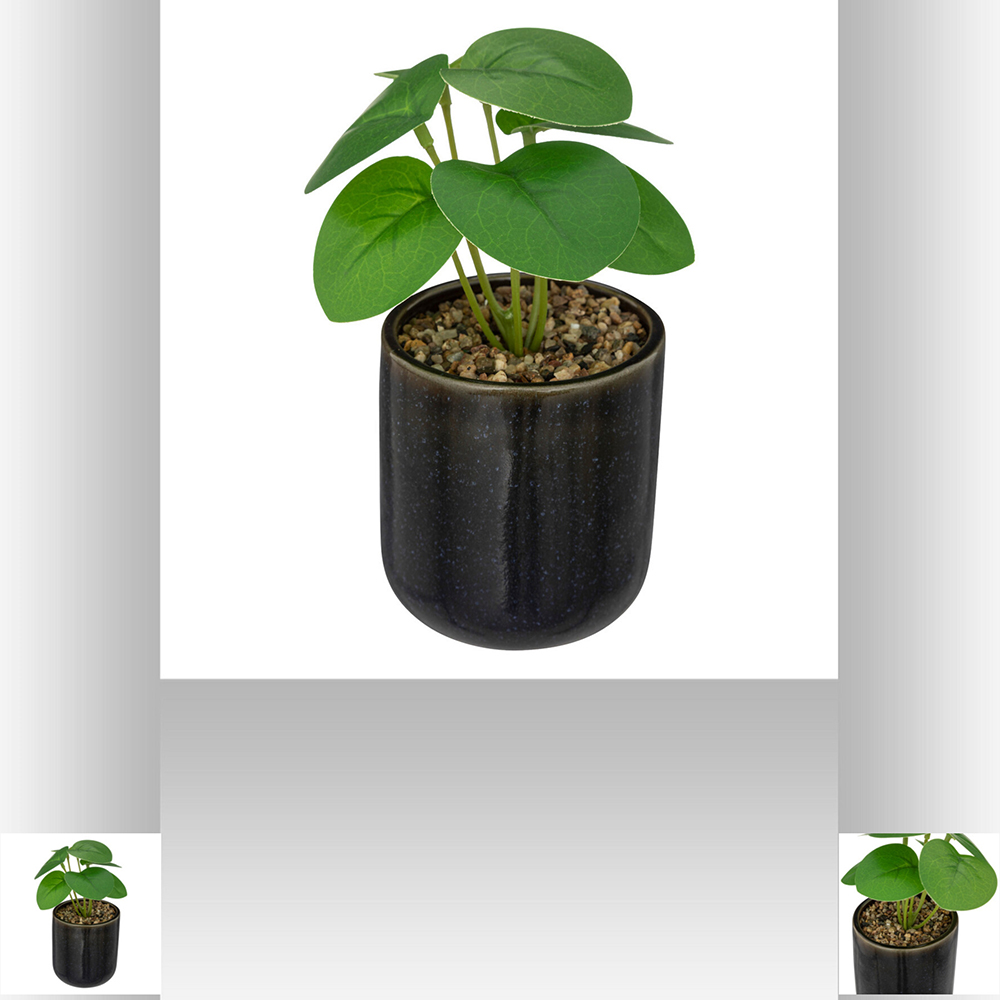 atmosphera-artificial-plant-in-ceramic-pot-black-16cm