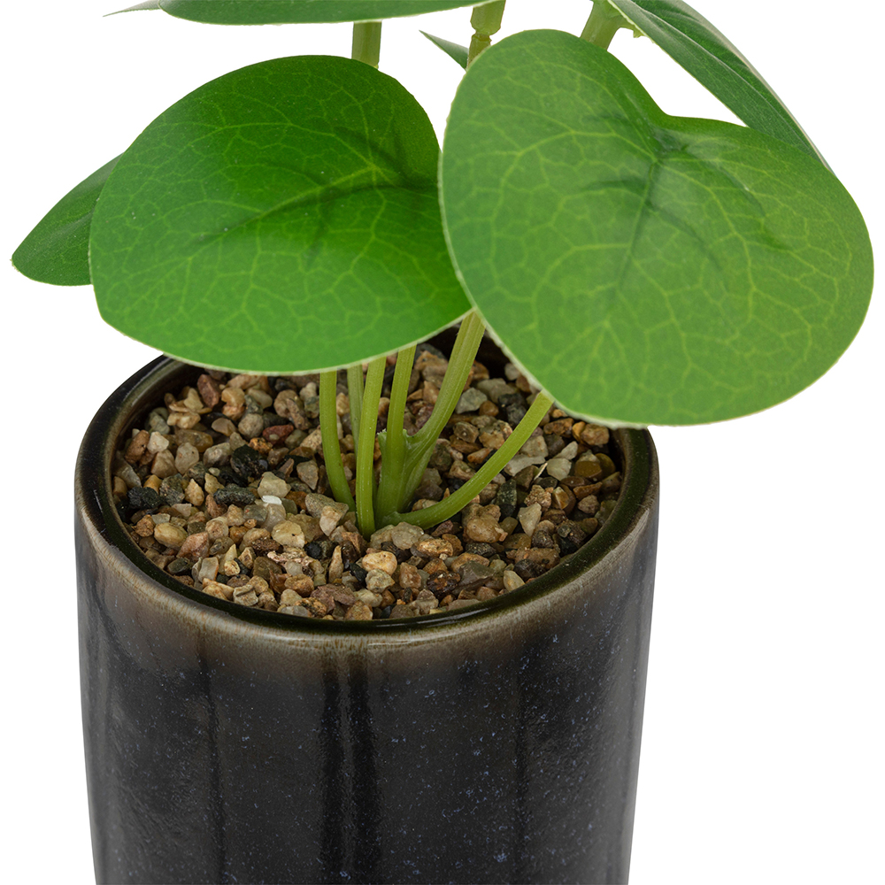 atmosphera-artificial-plant-in-ceramic-pot-black-16cm