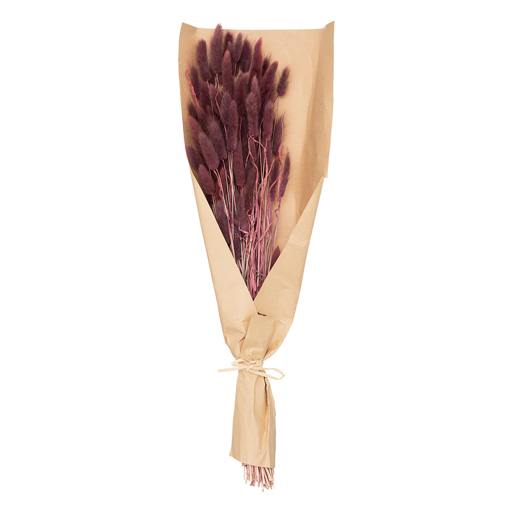 atmosphera-dried-plants-rabbit-tail-purple-58cm