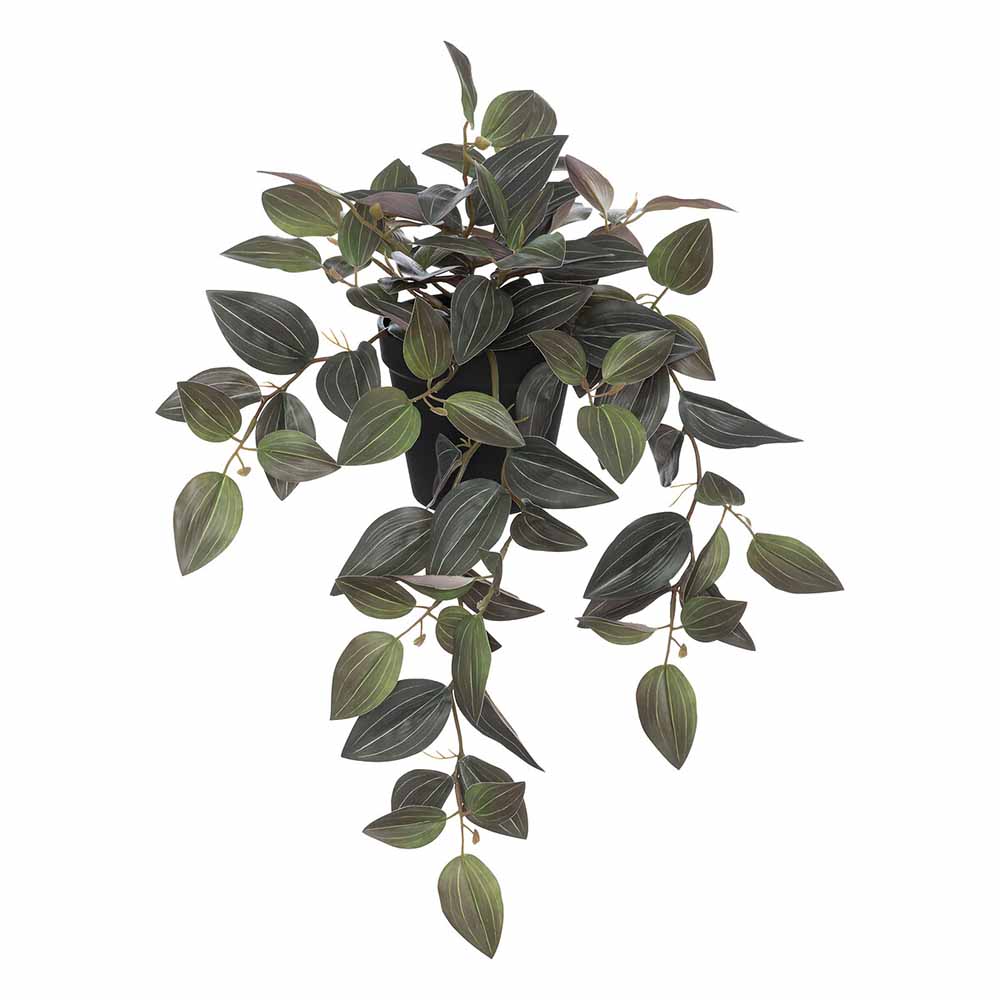 atmosphera-artificial-tradescantia-plant