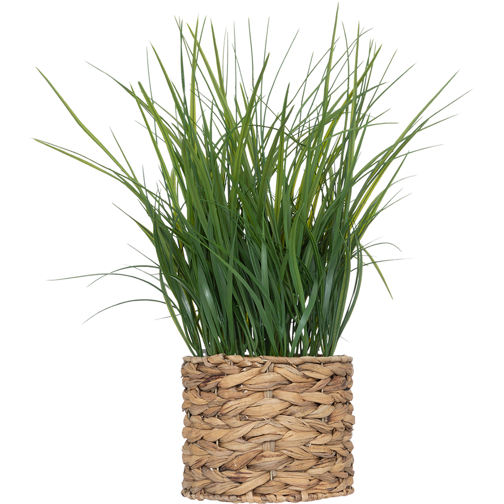atmosphera-artificial-plant-with-natural-reed-pot-70cm