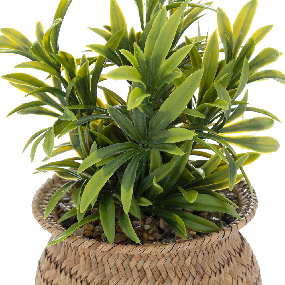 atmosphera-artificial-plant-in-natural-reed-pot-20cm