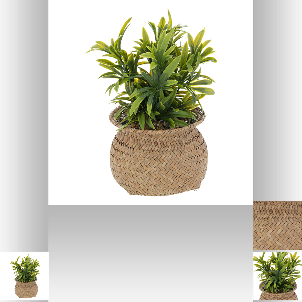 atmosphera-artificial-plant-in-natural-reed-pot-20cm