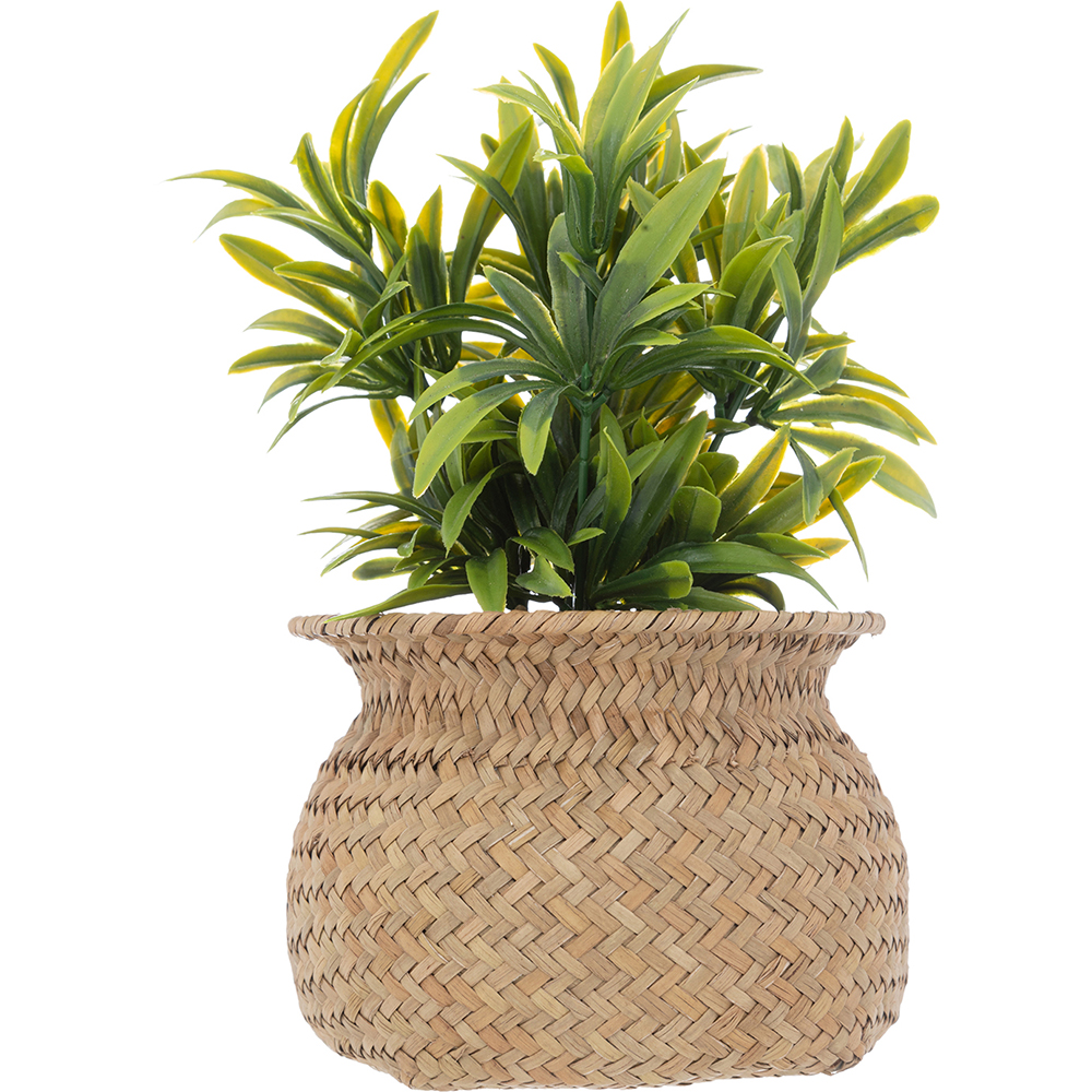 atmosphera-artificial-plant-in-natural-reed-pot-20cm