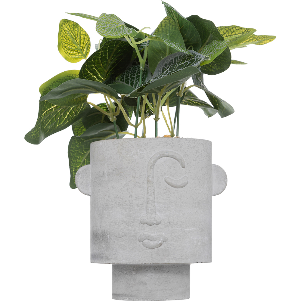 atmosphera-artificial-plant-in-face-design-cement-pot-grey-26cm