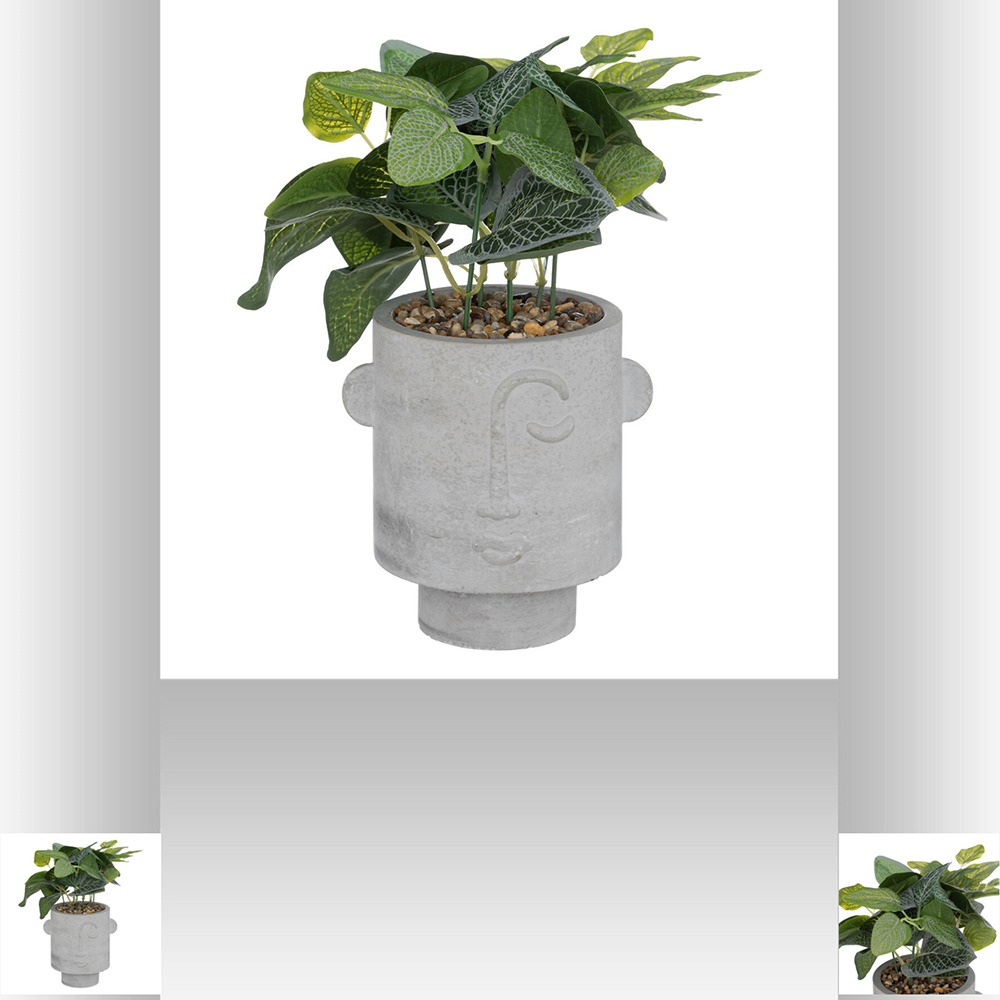 atmosphera-artificial-plant-in-face-design-cement-pot-grey-26cm