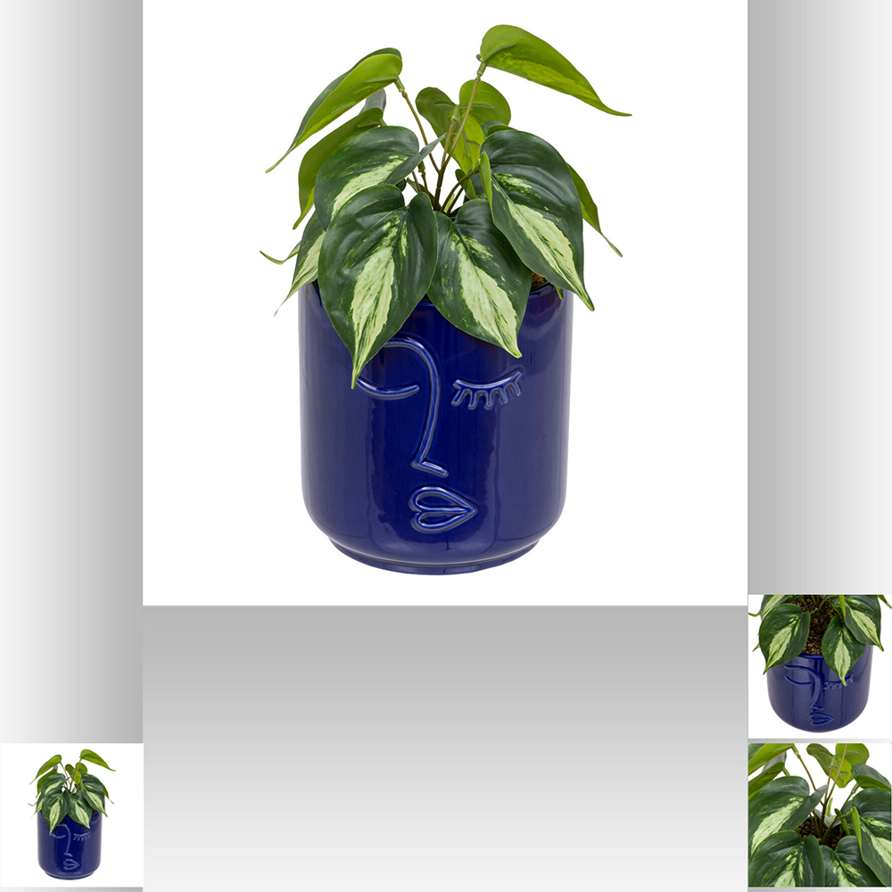 atmosphera-artificial-plant-in-face-design-ceramic-pot-blue-30cm