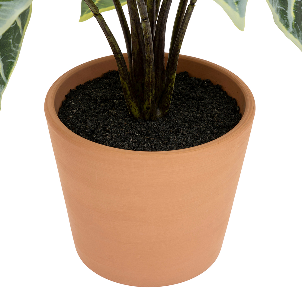atmosphera-artificial-alocasia-plant-in-pot-43cm