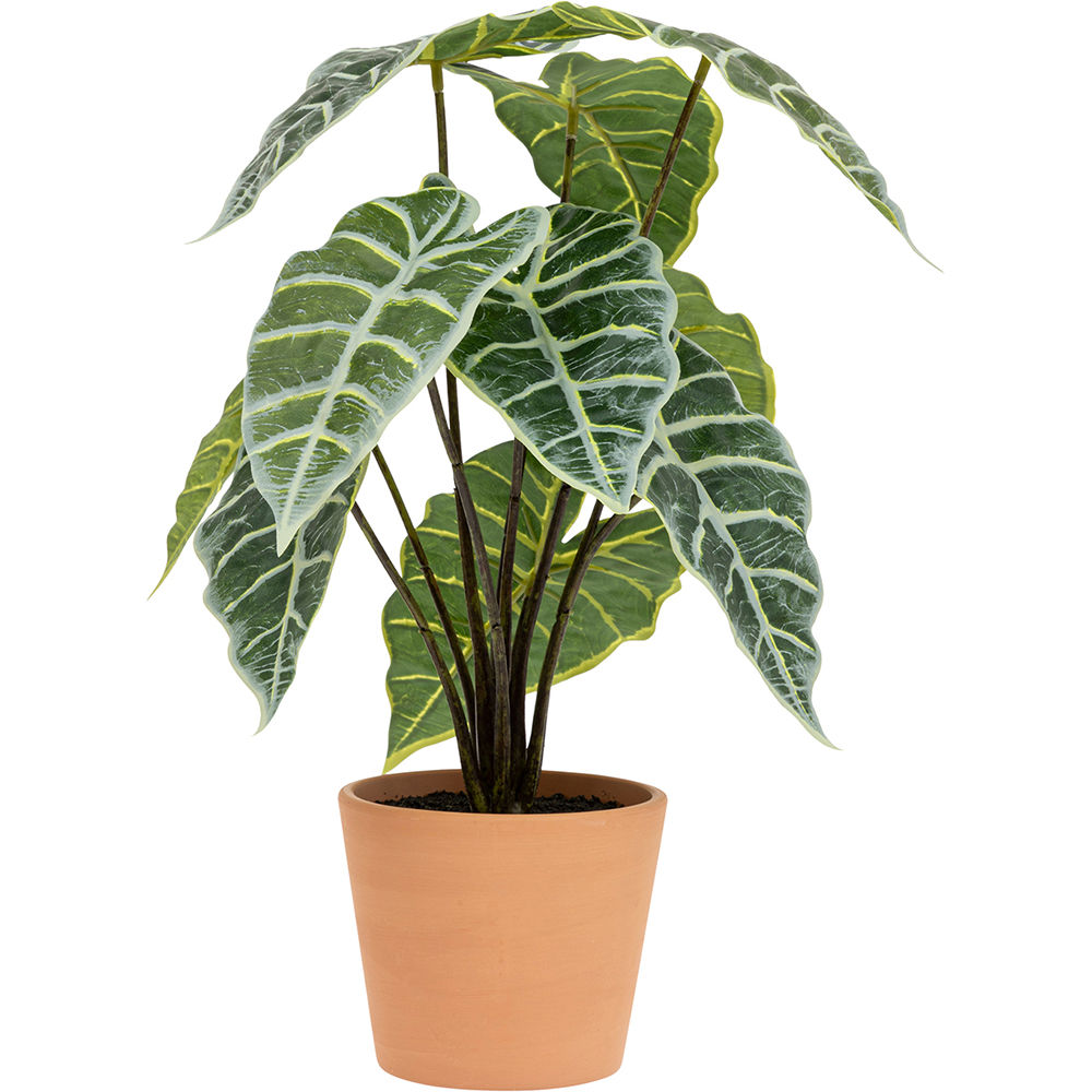 atmosphera-artificial-alocasia-plant-in-pot-43cm