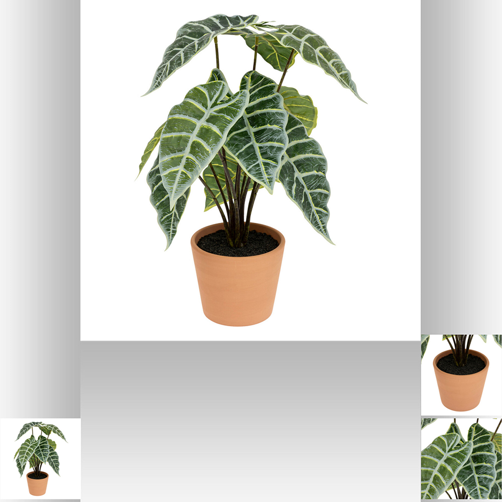 atmosphera-artificial-alocasia-plant-in-pot-43cm