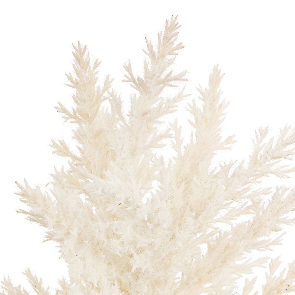 atmosphera-james-artificial-frozen-stem-40cm-2-assorted-colours