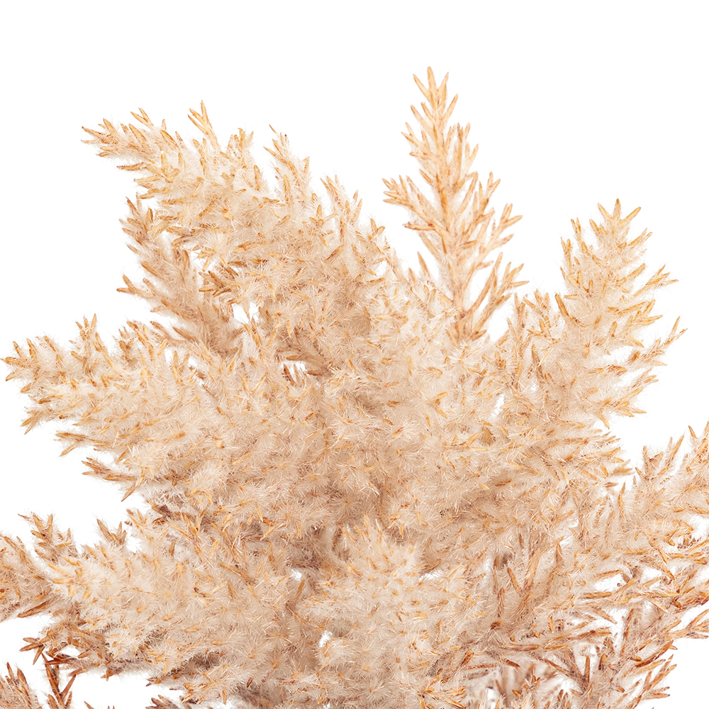 atmosphera-james-artificial-frozen-stem-40cm-2-assorted-colours