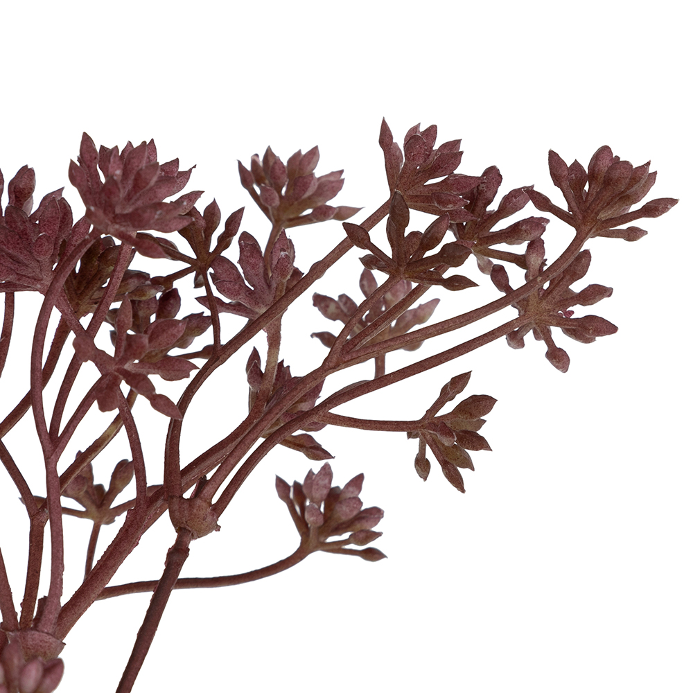 atmosphera-james-yarrow-artificial-stem-2-assorted-colours
