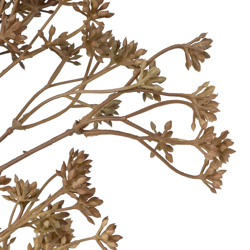 atmosphera-james-yarrow-artificial-stem-2-assorted-colours